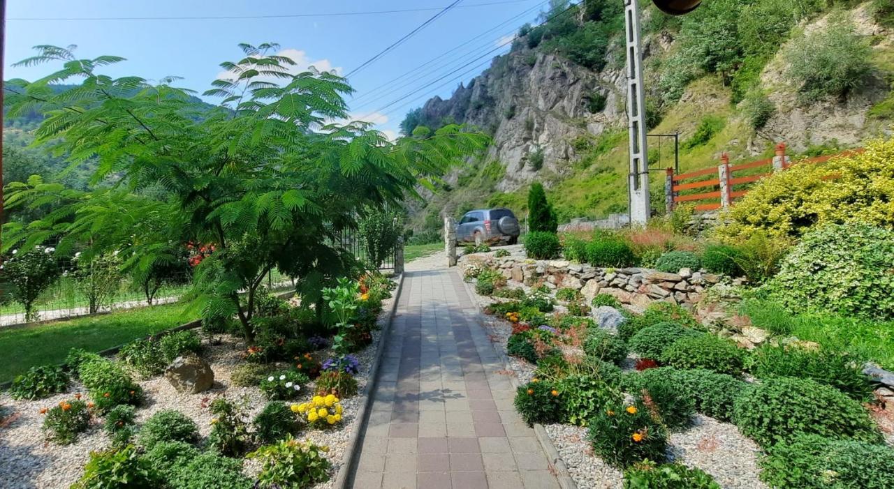 Villa Cabanute Alex Capalna Exterior foto